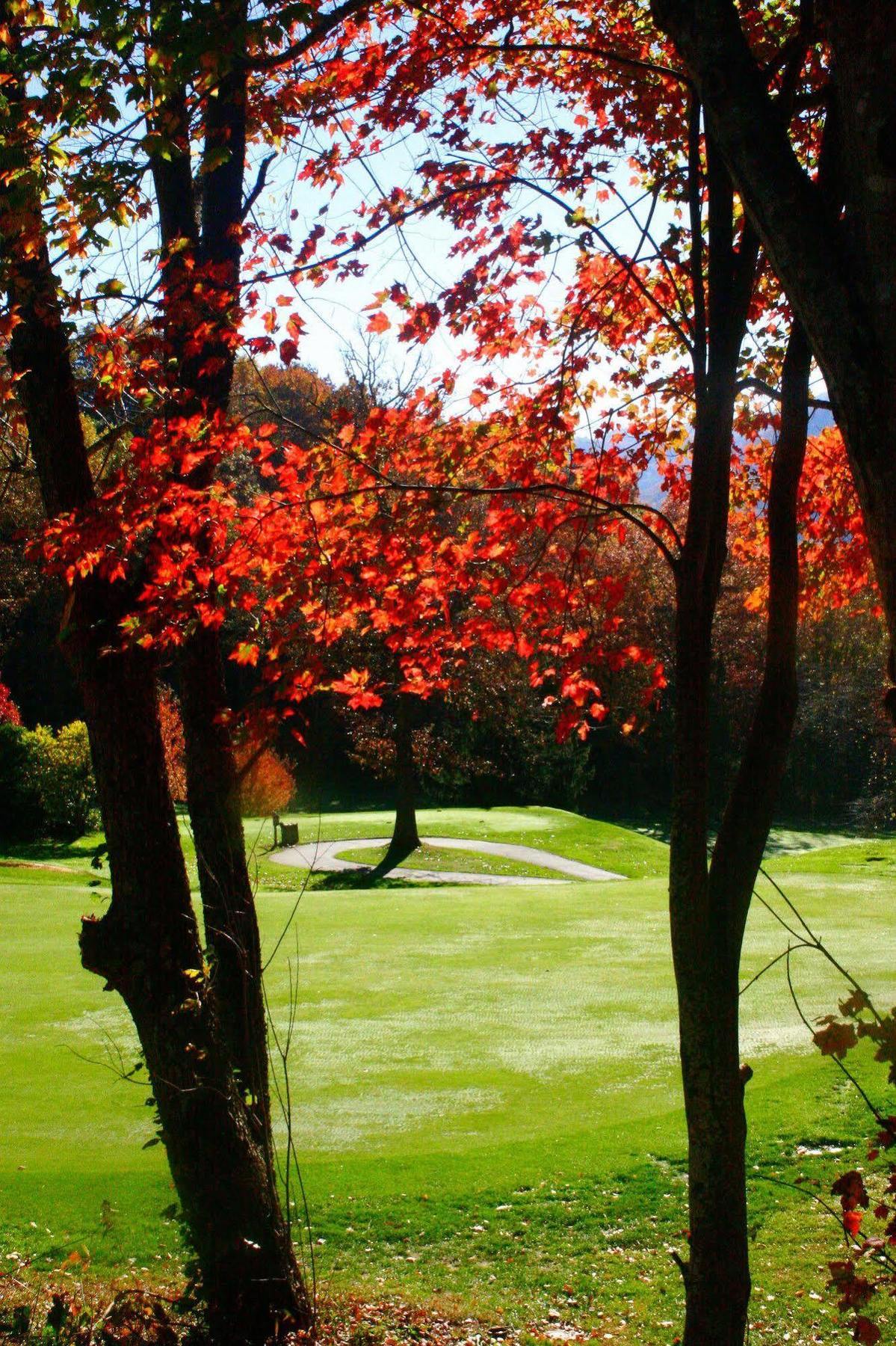 Peppertree Maggie Valley Aparthotel Buitenkant foto